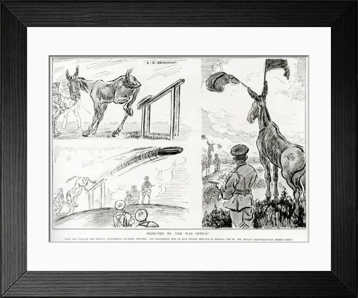 Framed Print : Rejected by the War Office, Mules put to good use by L. R. B Framed Print : Rejected by the War Office, Mules put to good use by L. R. B