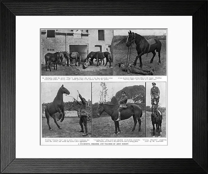 Framed Print : Lieutenant Rimington - breaker & teacher of Army horses, WW1 Framed Print : Lieutenant Rimington - breaker & teacher of Army horses, WW1