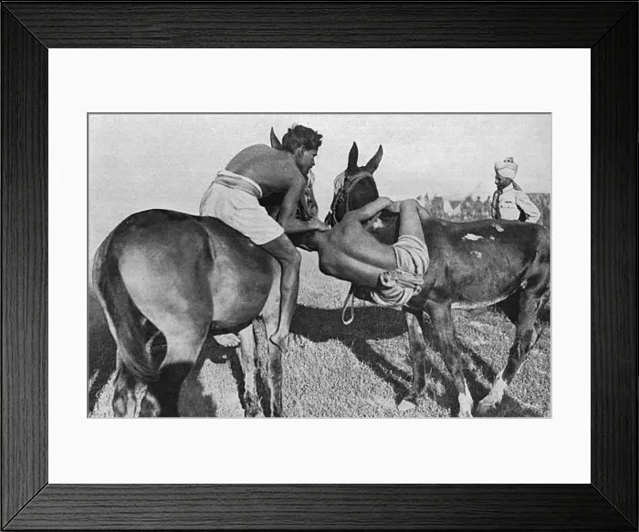 Framed Print : Wrestling on horseback, Indian troops at Salonika, WW1 Framed Print : Wrestling on horseback, Indian troops at Salonika, WW1