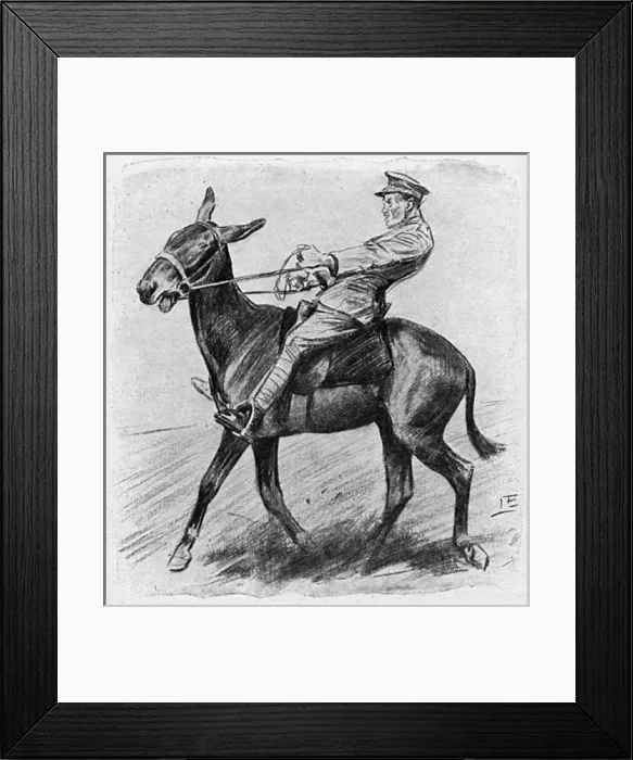 Framed Print : Halting a mule, WW1