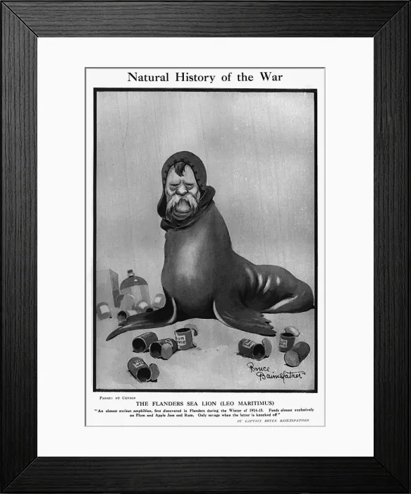 Framed Print : Natural History of the War by Bruce Bairnsfather Framed Print : Natural History of the War by Bruce Bairnsfather