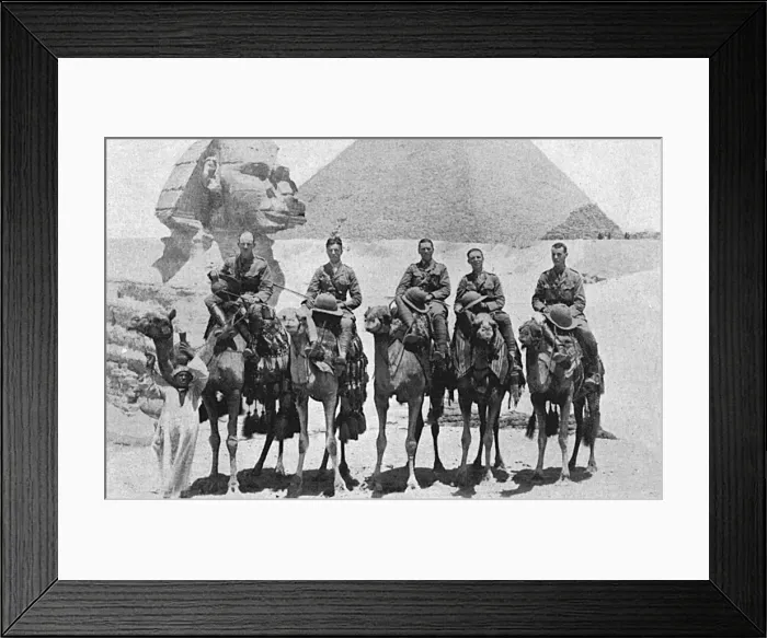 Framed Print : Officers of the Camelry Unit in Egypt Framed Print : Officers of the Camelry Unit in Egypt