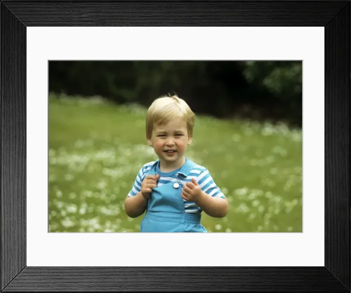 Framed Print : A young Prince William Framed Print : A young Prince William