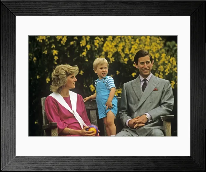 Framed Print : Royal Family- Prince Charles, William and princess Diana Framed Print : Royal Family- Prince Charles, William and princess Diana