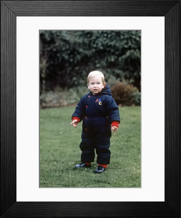 Framed Print : A young Prince William