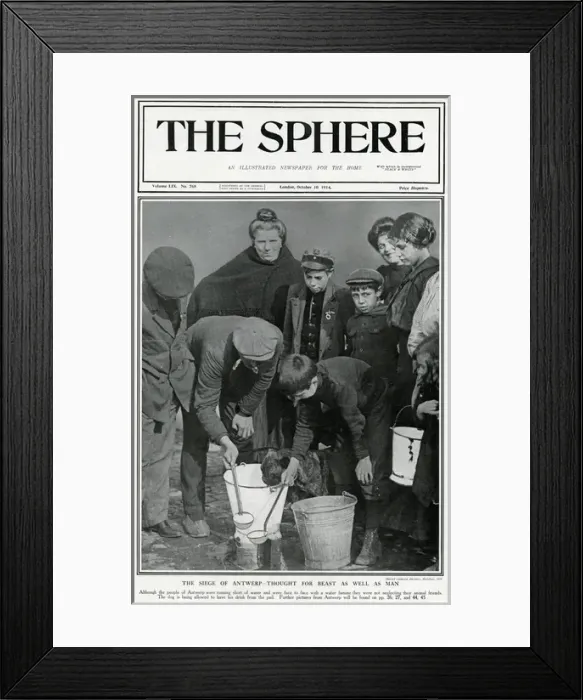 Framed Print : Siege of Antwerp, World War One, 1914 - animals looked after