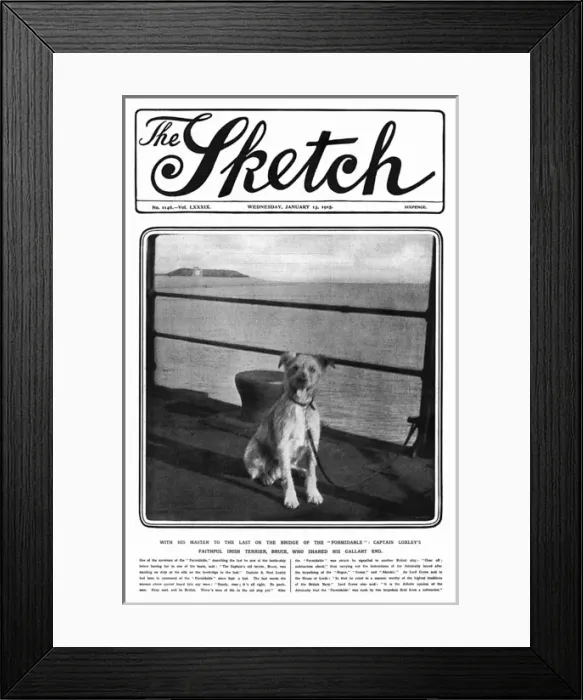Framed Print : Sketch cover, Captain Loxleys faithful dog, WW1 Framed Print : Sketch cover, Captain Loxleys faithful dog, WW1