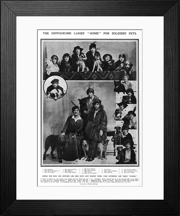 Framed Print : Hippodrome ladies home for soldiers pets, WW1 Framed Print : Hippodrome ladies home for soldiers pets, WW1