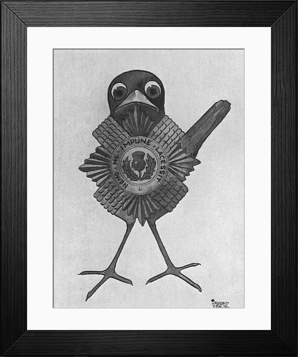 Framed Print : Masbadges - 5. The Scots Guards Robin Framed Print : Masbadges - 5. The Scots Guards Robin