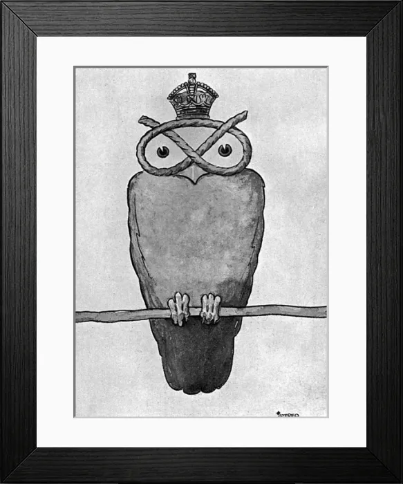 Framed Print : Masbadges - 5. The South Staffordshire Owl Framed Print : Masbadges - 5. The South Staffordshire Owl