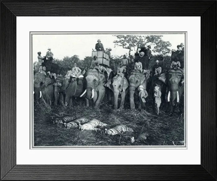 Framed Print : King George V hunting Framed Print : King George V hunting