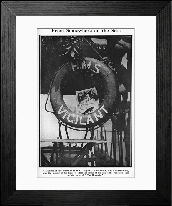 Framed Print : The Bystander on HMS Vigilant, WW1 Framed Print : The Bystander on HMS Vigilant, WW1
