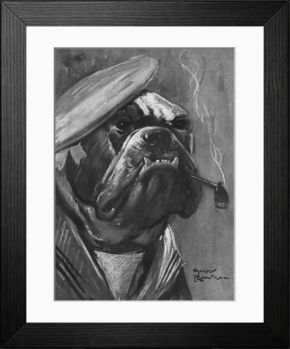 Framed Print : British bulldog, WW1 Framed Print : British bulldog, WW1