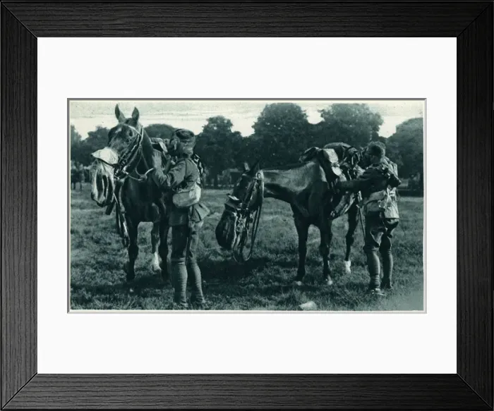 Framed Print : Gas-masked horse and horseman at Aldershot Framed Print : Gas-masked horse and horseman at Aldershot