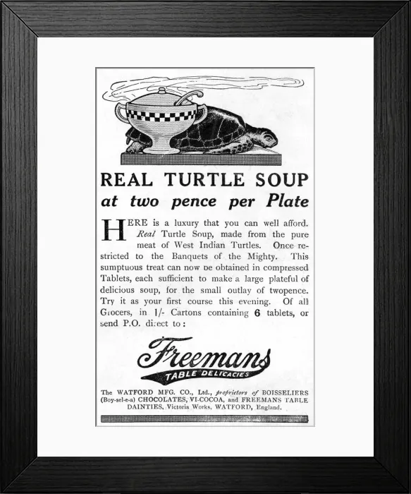 Framed Print : Real Turtle Soup Framed Print : Real Turtle Soup