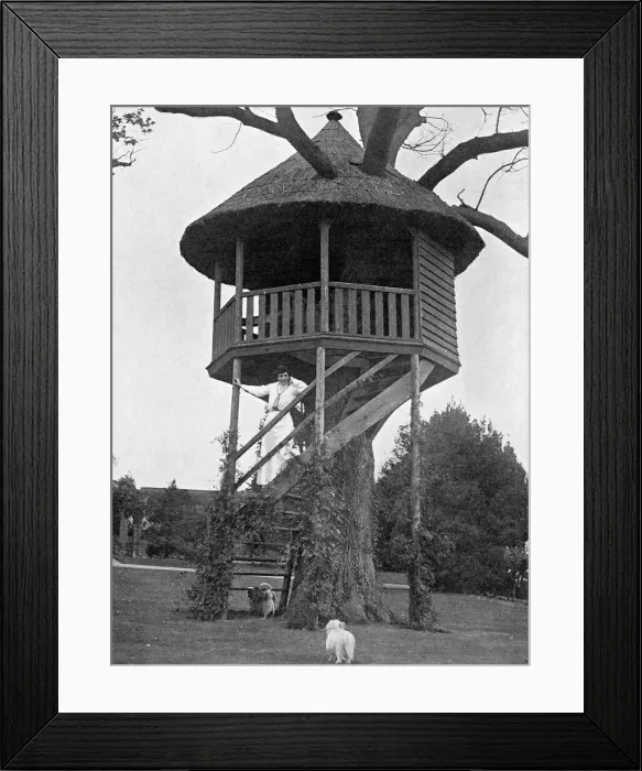 Framed Print : Maxine Elliott in her garden at Bushey Framed Print : Maxine Elliott in her garden at Bushey