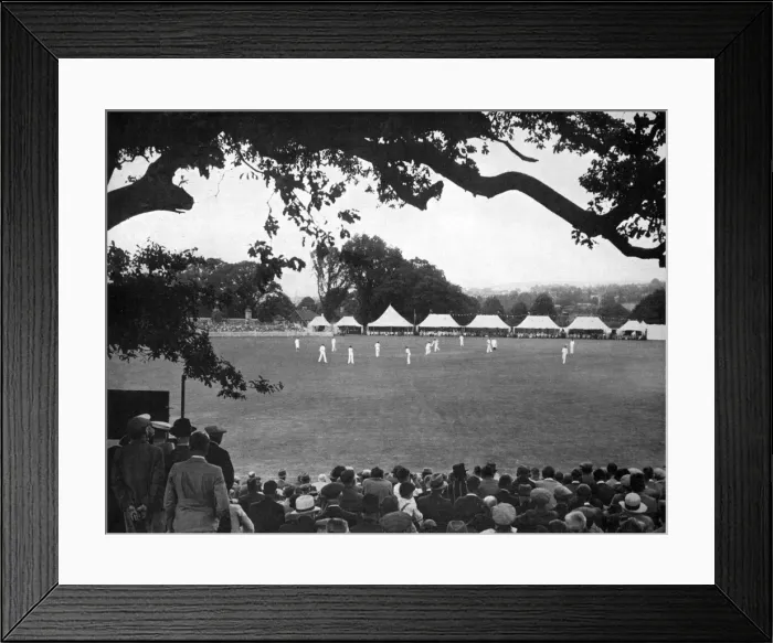 Framed Print : Mote Park, Maidstone Framed Print : Mote Park, Maidstone