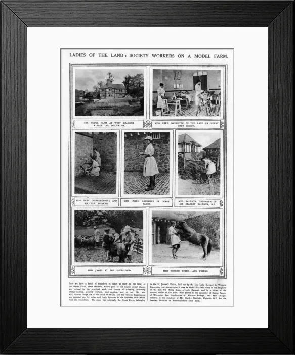Framed Print : Ladies of the Land - Society Workers on a model farm, WW1 Framed Print : Ladies of the Land - Society Workers on a model farm, WW1