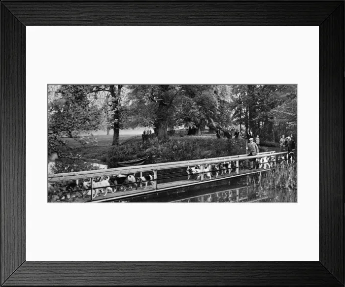 Framed Print : Lord Coventry and Otterhounds Framed Print : Lord Coventry and Otterhounds