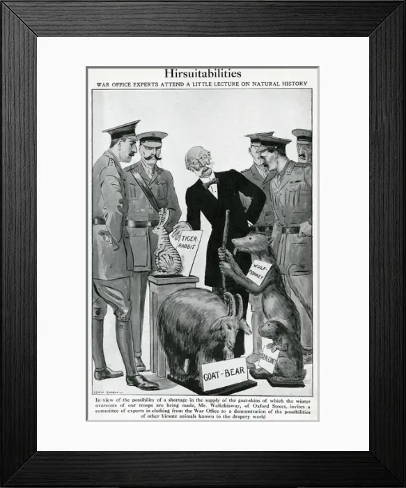Framed Print : Goatskin shortages in 1915: humourous alternatives suggested Framed Print : Goatskin shortages in 1915: humourous alternatives suggested