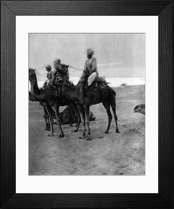 Framed Print : Indian camel sowars in Egypt during the First World War Framed Print : Indian camel sowars in Egypt during the First World War