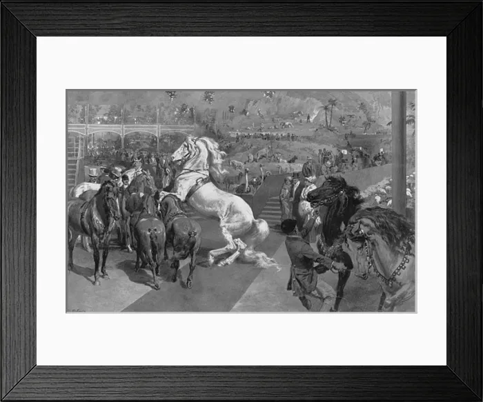 Framed Print : Hagenbecks Great Zoological Show at Olympia, London Framed Print : Hagenbecks Great Zoological Show at Olympia, London