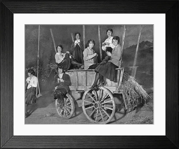 Framed Print : Cast of The Country Girl at Dalys knitting, WW1 Framed Print : Cast of The Country Girl at Dalys knitting, WW1