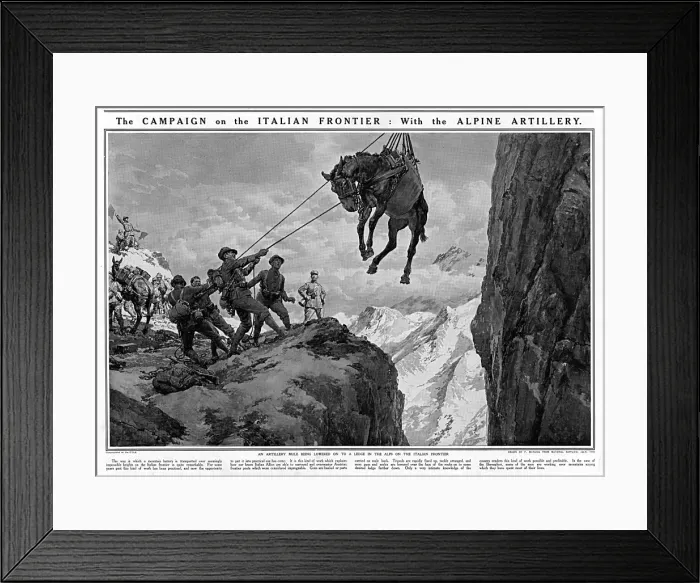 Framed Print : Artillery mule on Italian frontier Framed Print : Artillery mule on Italian frontier