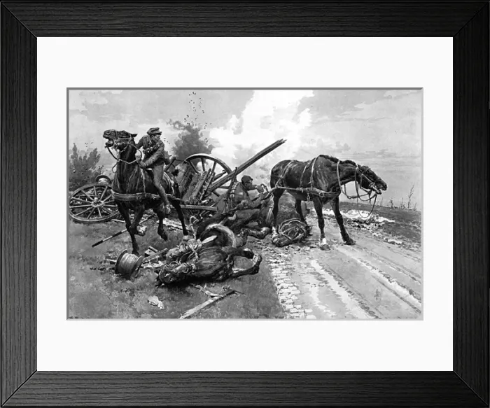 Framed Print : Gallipoli - bringing in horses by Matania, WW1 Framed Print : Gallipoli - bringing in horses by Matania, WW1