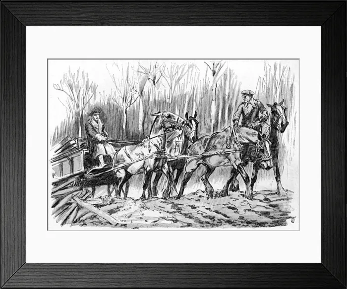 Framed Print : Carting timber on the Western Front, WW1 Framed Print : Carting timber on the Western Front, WW1