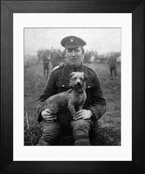 Framed Print : Sammy, Mascot of the Northumberland Fusiliers, WW1 Framed Print : Sammy, Mascot of the Northumberland Fusiliers, WW1