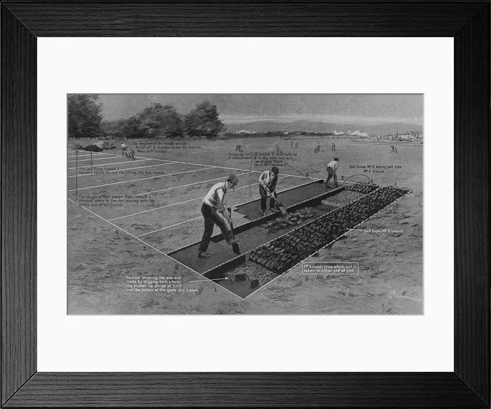 Framed Print : How to start an allotment during WW1