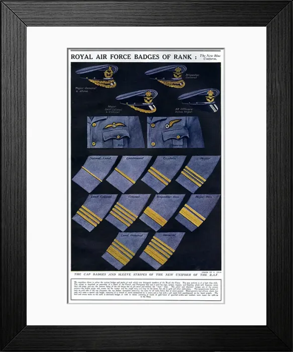 Framed Print : Royal Air Force badges of rank, WW1 Framed Print : Royal Air Force badges of rank, WW1