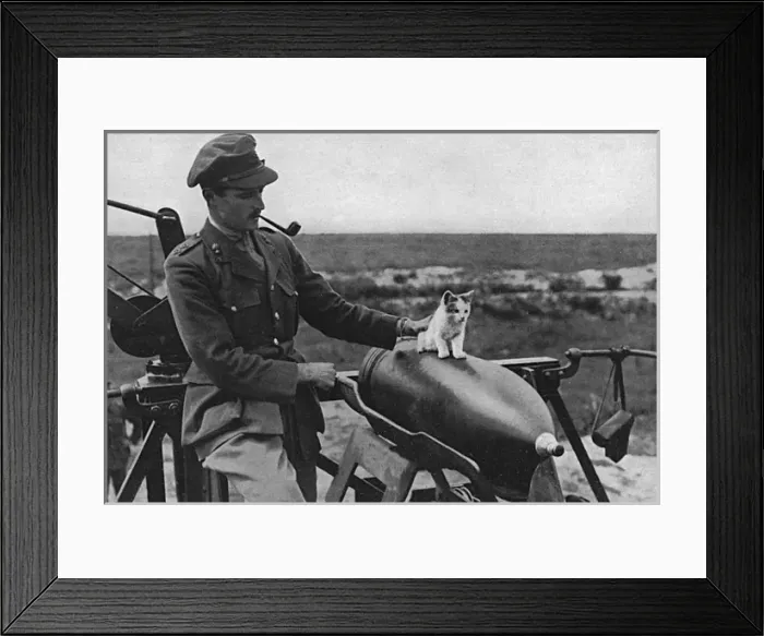 Framed Print : Cat as a mascot of a gun crew on Western Front Framed Print : Cat as a mascot of a gun crew on Western Front