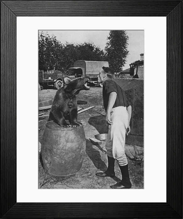 Framed Print : Russian soldier with regimental bear mascot, WW1 Framed Print : Russian soldier with regimental bear mascot, WW1