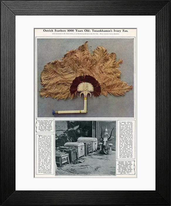 Framed Print : Tutankhamuns ivory fan with ostrich feathers Framed Print : Tutankhamuns ivory fan with ostrich feathers