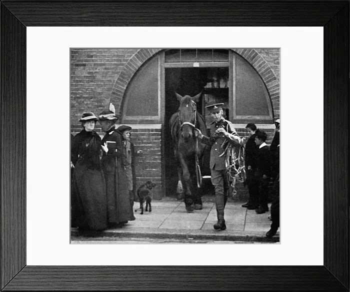 Framed Print : Army commandeering railway horses at Bexhill, WW1