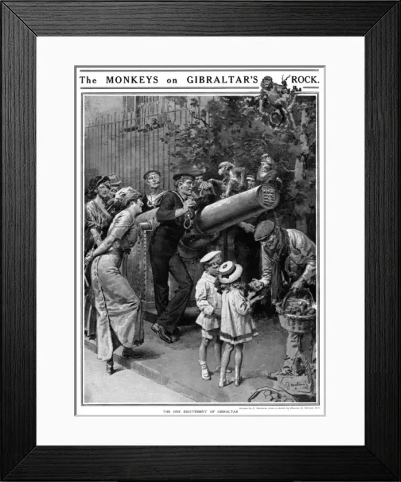 Framed Print : The Monkeys on Gibraltars Rock by Matania
