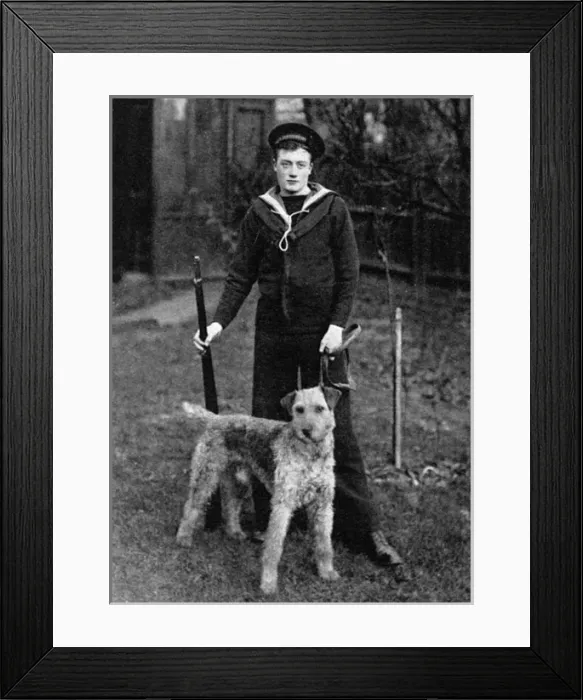 Framed Print : An Airedale sentry dog supplied to Navy by Major Richardson Framed Print : An Airedale sentry dog supplied to Navy by Major Richardson