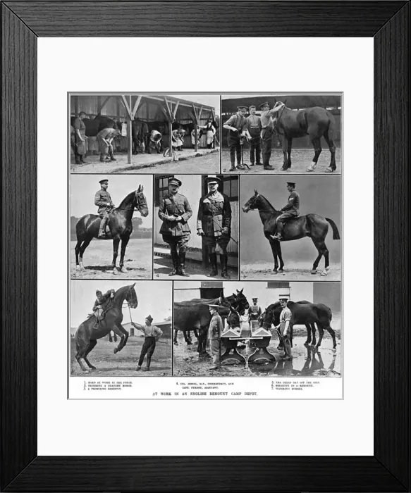 Framed Print : At work in the English Army Remount Camp Depot, WW1 Framed Print : At work in the English Army Remount Camp Depot, WW1