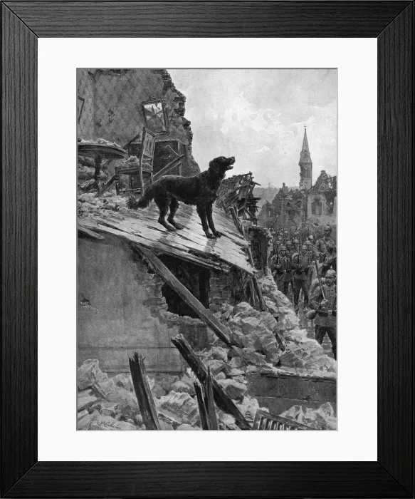 Framed Print : Canine Devotion in War Time, WW1 dog guarding home Framed Print : Canine Devotion in War Time, WW1 dog guarding home