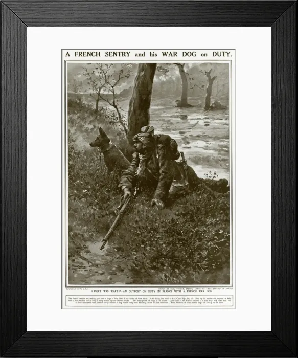 Framed Print : A French Sentry and his War Dog on Duty Framed Print : A French Sentry and his War Dog on Duty