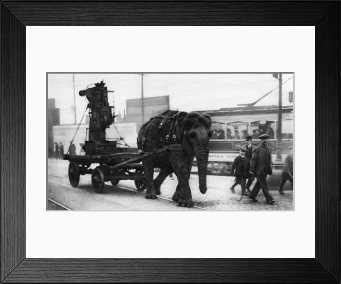 Framed Print : Lizzie the munition war-worker in Sheffield, WW1 Framed Print : Lizzie the munition war-worker in Sheffield, WW1
