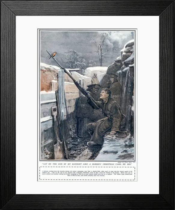 Framed Print : Robin in the trenches, WW1 by Philip Dadd