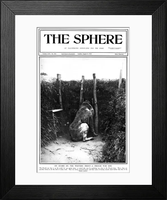 Framed Print : Sphere cover - French War Dog on Guard Framed Print : Sphere cover - French War Dog on Guard