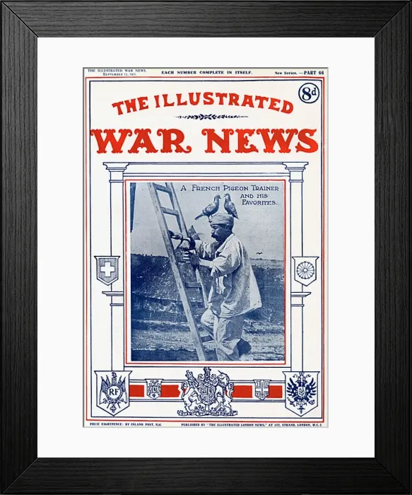 Framed Print : French Pigeon Trainer, Illustrated War News, WW1