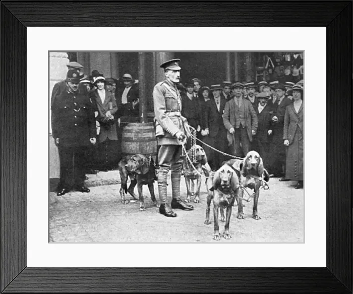 Framed Print : Major Richardson leaves for Belgium with bloodhounds, WW1 Framed Print : Major Richardson leaves for Belgium with bloodhounds, WW1