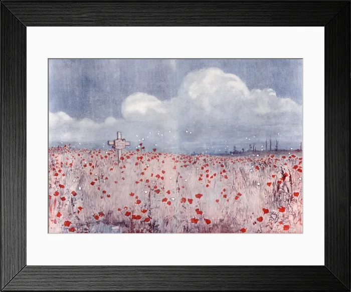 Framed Print : Poppy field and grave of unknown soldier Framed Print : Poppy field and grave of unknown soldier