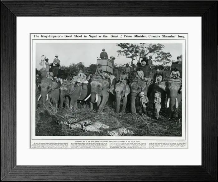 Framed Print : King George V shooting expedition 1911
