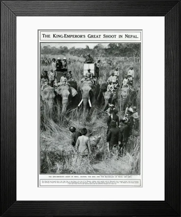 Framed Print : King Emperors great shoot in Nepal 1911